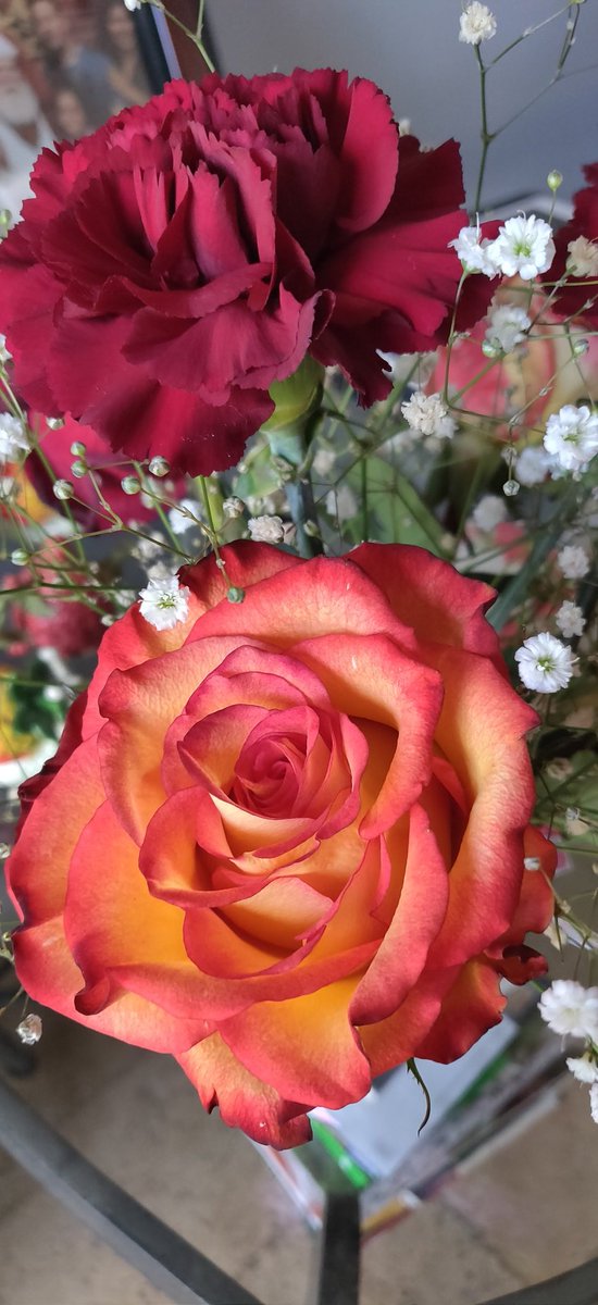 pinatasbyedith's tweet photo. #prettyflowers🌹 https://t.co/8Ay6YAj1YO