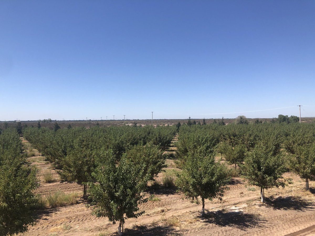 GaboB76's tweet photo. Cuantas cosas hay para mejorar...pero que orgulloso me siento de la finca!   Aún nos falta: agua, personal, infraestructura, finanzas.  Siempre de sobra: perseverancia y felicidad https://t.co/f0ajrHpZOE
