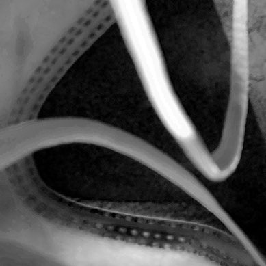 Scot Wittman tweet media