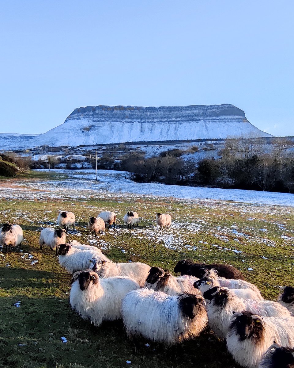 Winter woollies needed in Sligo today
@Irelandwest @WeatherRTE @deric_tv
@MetEireann @AimsirTG4 @barrabest
@johncreedon @wildatlanticway
#5kmfromhome #Sligo #LoveSligo