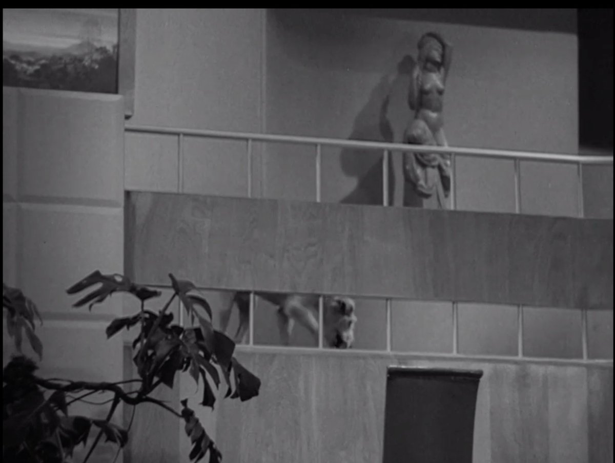 First up! AFTER THE THIN MAN (1936, Art Direction by Cedric Gibbons). Gibbons was THE KING of deco style, & there is always so much to love.Nick & Nora's SF House. The stairwell detail is just gorgeous, w what looks like a blonde oak panel detail w a lot of streamline accents.