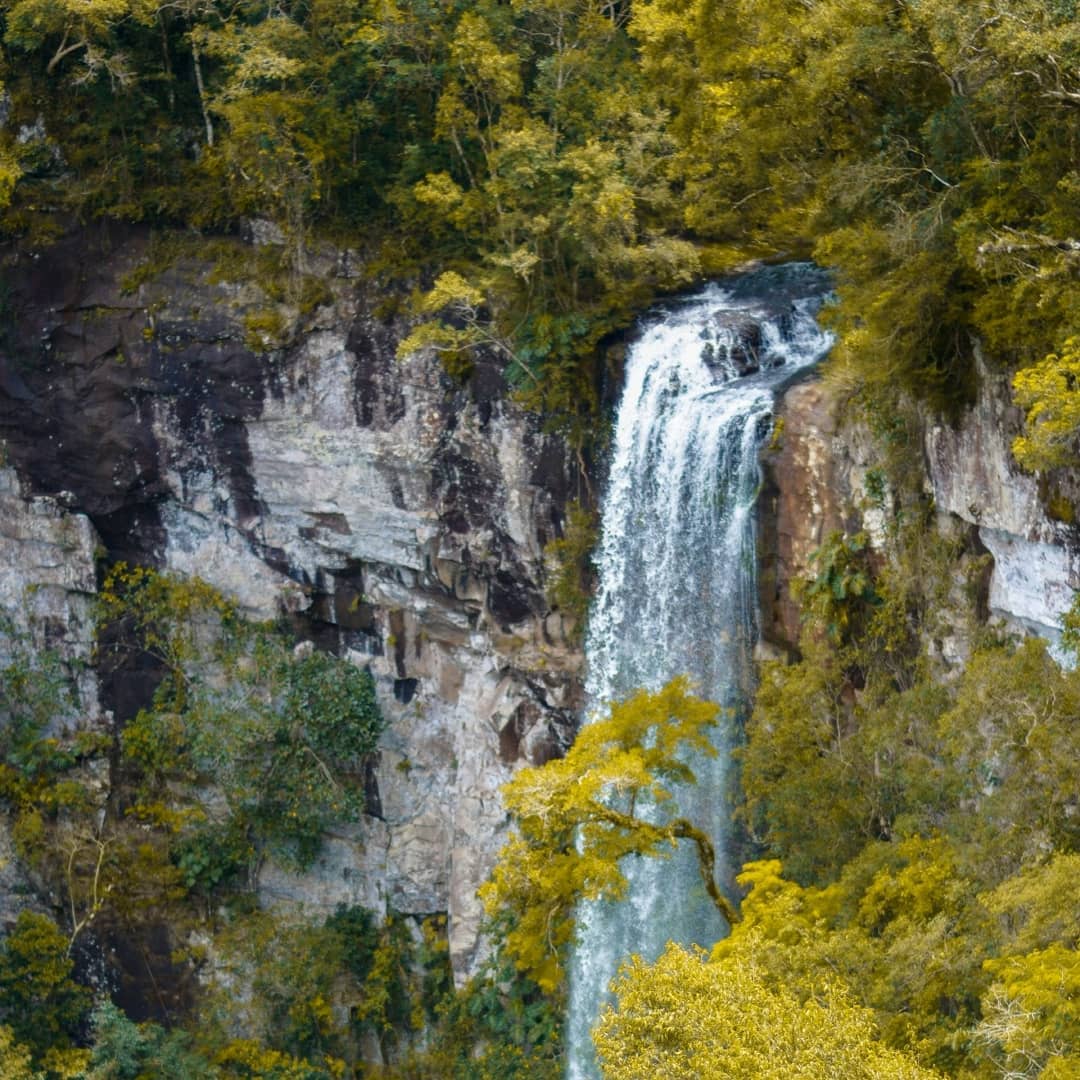 DestinosAr's tweet photo. En el Centro geográfico de #Misiones mas precisamente en el municipio de Aristóbulo del Valle se encuentra el Parque Provincial Salto Encantado.
Este, cuenta con una cascada de 64 metros de altura sobre el arroyo Cuña Pirú ¡Miren este hermoso paisaje!
.
📸 @misiones.turismo https://t.co/mhVAEb4uiL