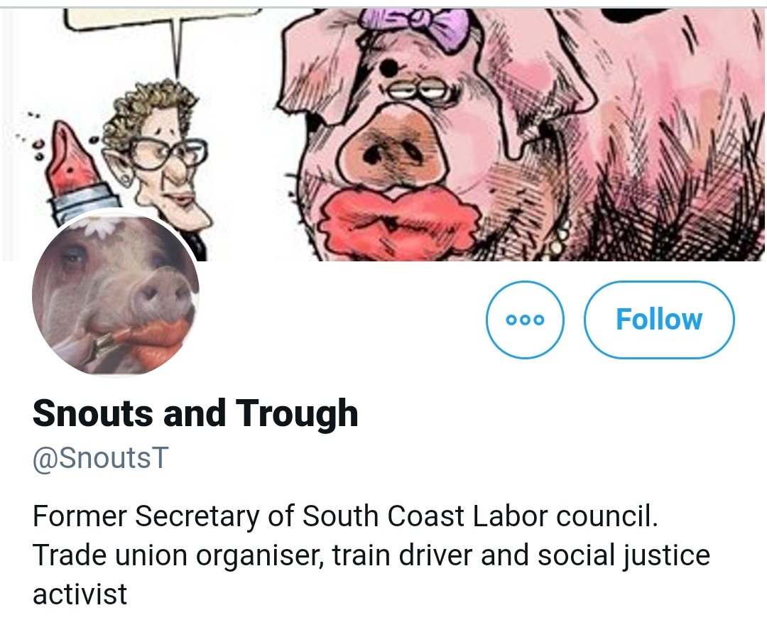 Here it is..Snouts and Trough..You will find the Vulture, The Bunnings Bandit, Mr. Gigliotto and a few more jokers on this page.

This page will be about corruption, history and politics within our region.