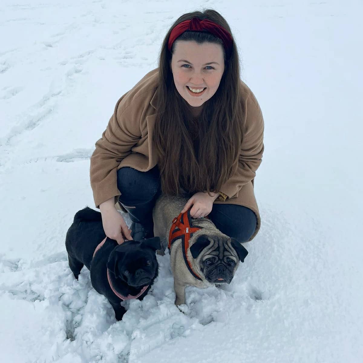 Stephmulz's tweet photo. Snow day fun with the puppers. ❄🌨☃️ https://t.co/kRp3MF8wBz