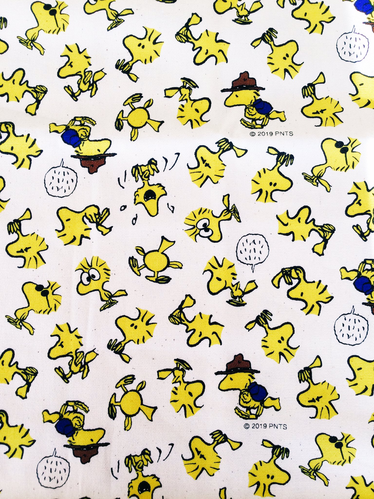 Twitter 上的 雑貨奥様 おはようございます 今日も夫はテレワーク 当分月曜日は在宅になりそうです この布は スヌーピー の ウッドストック だけのデザインで珍しいかなと買いました 息子ともどもウッドストックのファンで 真下からや 目を見開いたり