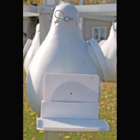 RavenoxUSA's tweet photo. @RavenoxUSA Door Shields are a great way to keep predators out of your Purple Martin gourds while doing next checks. Check out our NEWS page for more information on protecting your Martin friends. #purplemartins #birdlovers #predatorprotection #birdhouses

https://t.co/GiZMbLSrn4 https://t.co/EDJBondj6J