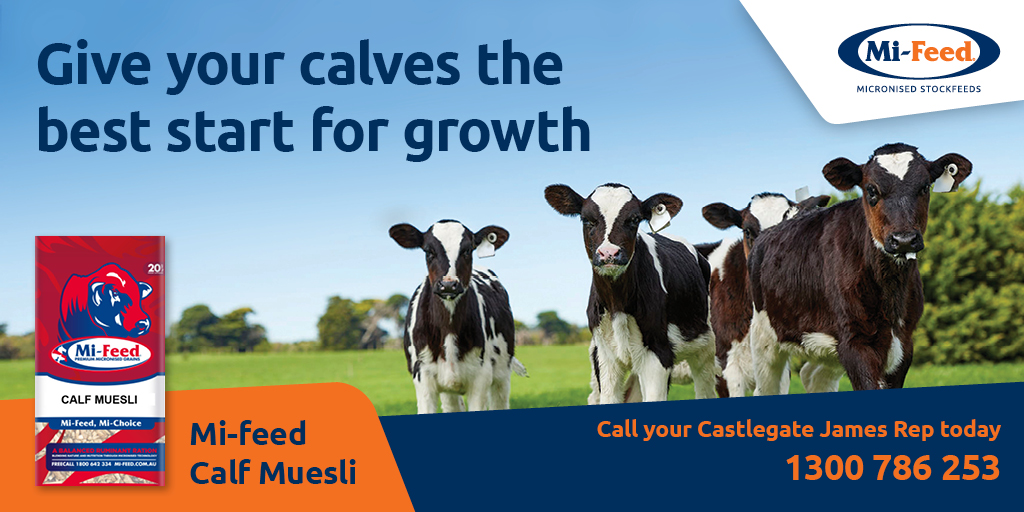 MAXIMISE 2021 HERDS PRODUCTIVITY &amp; PERFORMANCE  
Ready to talk deals on 20kg, 1Tonne bulk bags and bulk trucks. CALL 1300786253 today. 
#Dairy #Calving #highprotein #highenergy