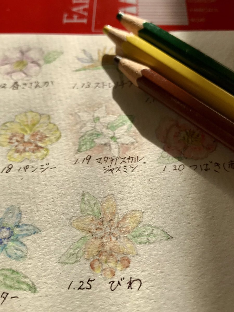 Twoucan 1月25日誕生日 の注目ツイート イラスト マンガ コスプレ モデル