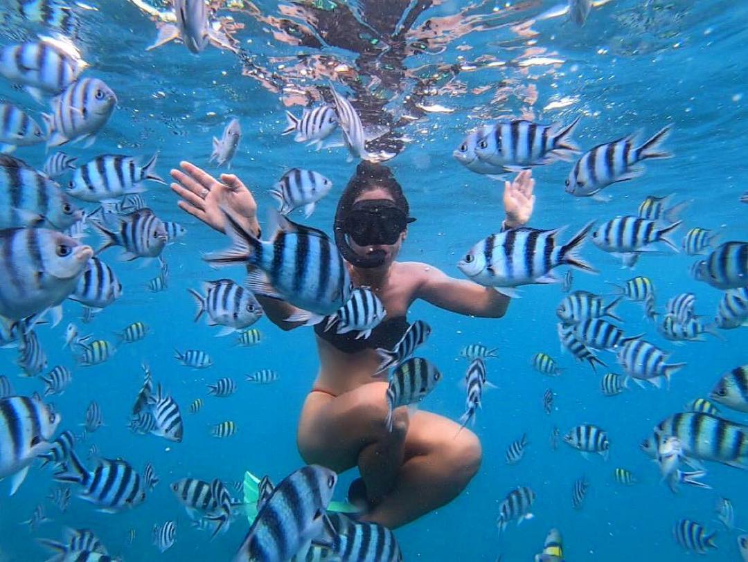 TourismFiji's tweet photo. How about an underwater playground? Our fishy friends miss your company! 🐠

The Yasawa Islands is a haven for lovers of the ocean. Our Bula Spirit awaits you 💙

📸 @ sofchop
📍 Yasawa Islands, Fiji
#YasawaIslands #Snorkelling #Fiji #OurBulaSpiritAwaitsYou https://t.co/in5O7xqvVM