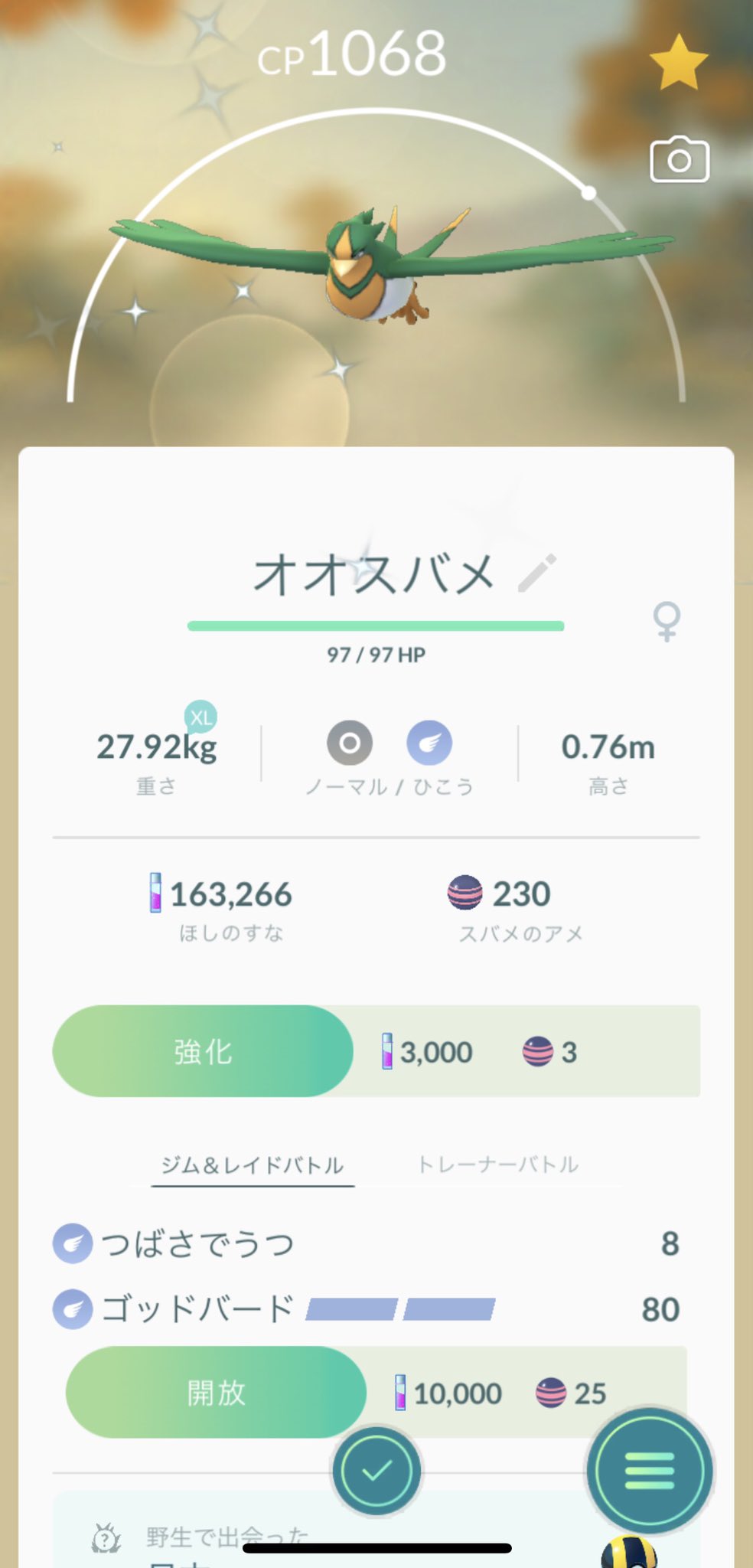 G スバメの色違いゲット そのままオオスバメに進化 まさかの家に出てきたw ポケモンgo スバメ オオスバメ 色違いポケモン G スバメの色違いゲット そのままオオスバメに進化 まさかの家に出てきたw ポケモンgo スバメ オオスバメ 色違いポケモン