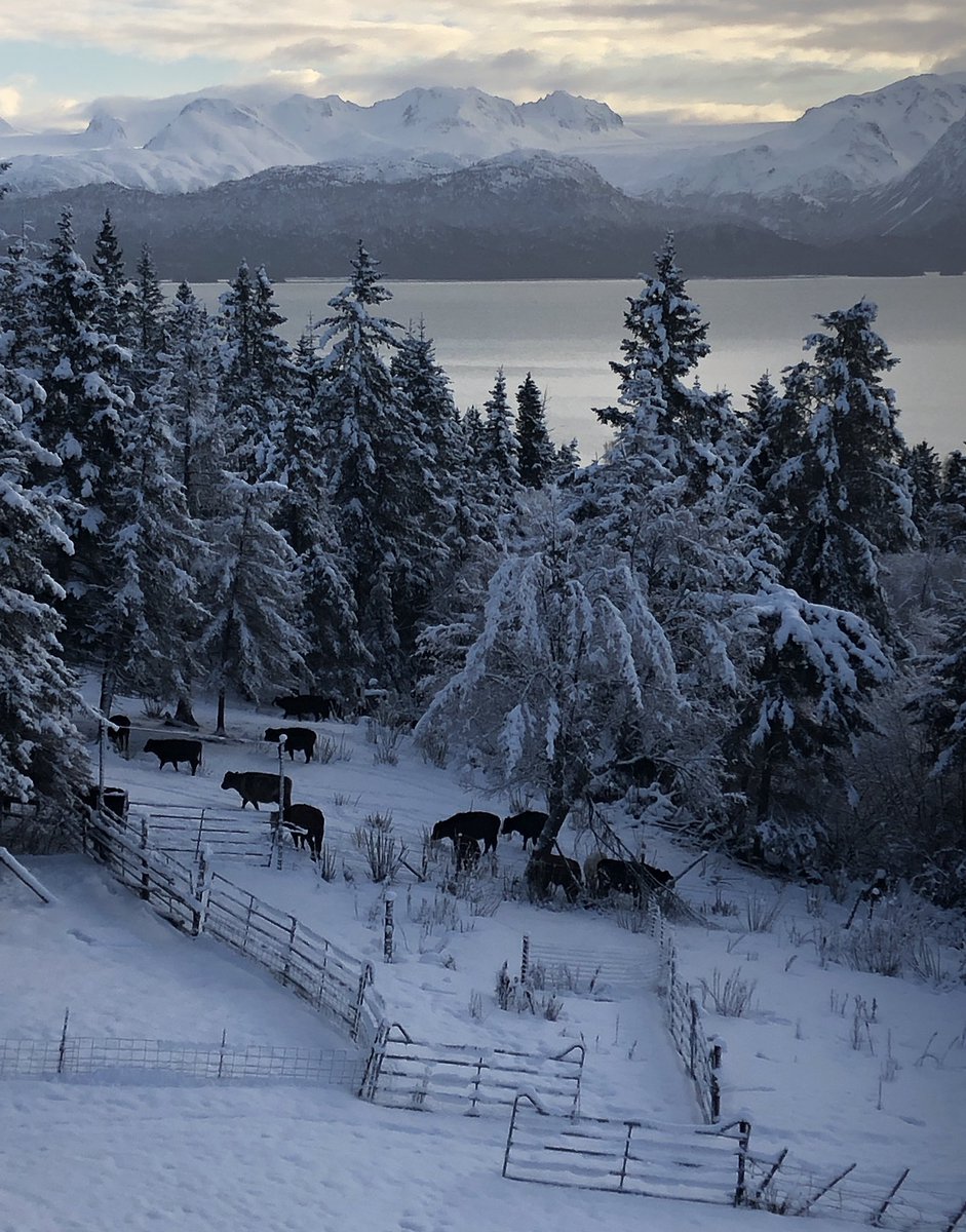 kilcherfrontier's tweet photo. #AlaskatheLastFrontier tonight @Discovery https://t.co/psLq4rDQzg