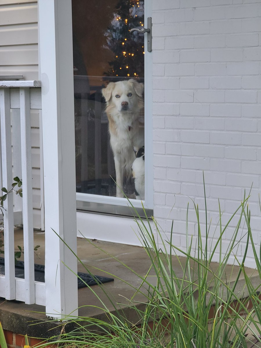 BlackThorn Computers tweet media