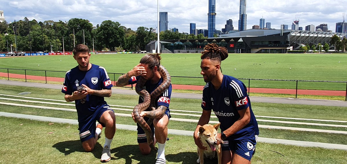  #ALeague &ndash; bei  AAMI Park