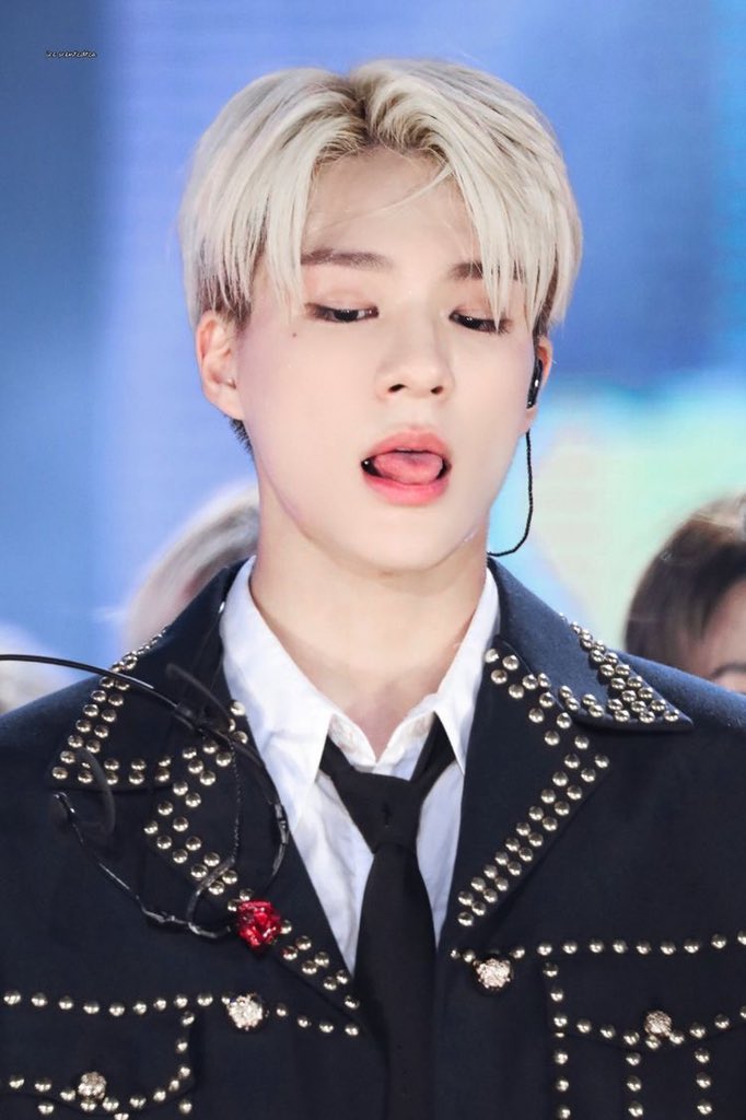⠀⠀ ⠀⠀ หมาป่า                         ซามอย
