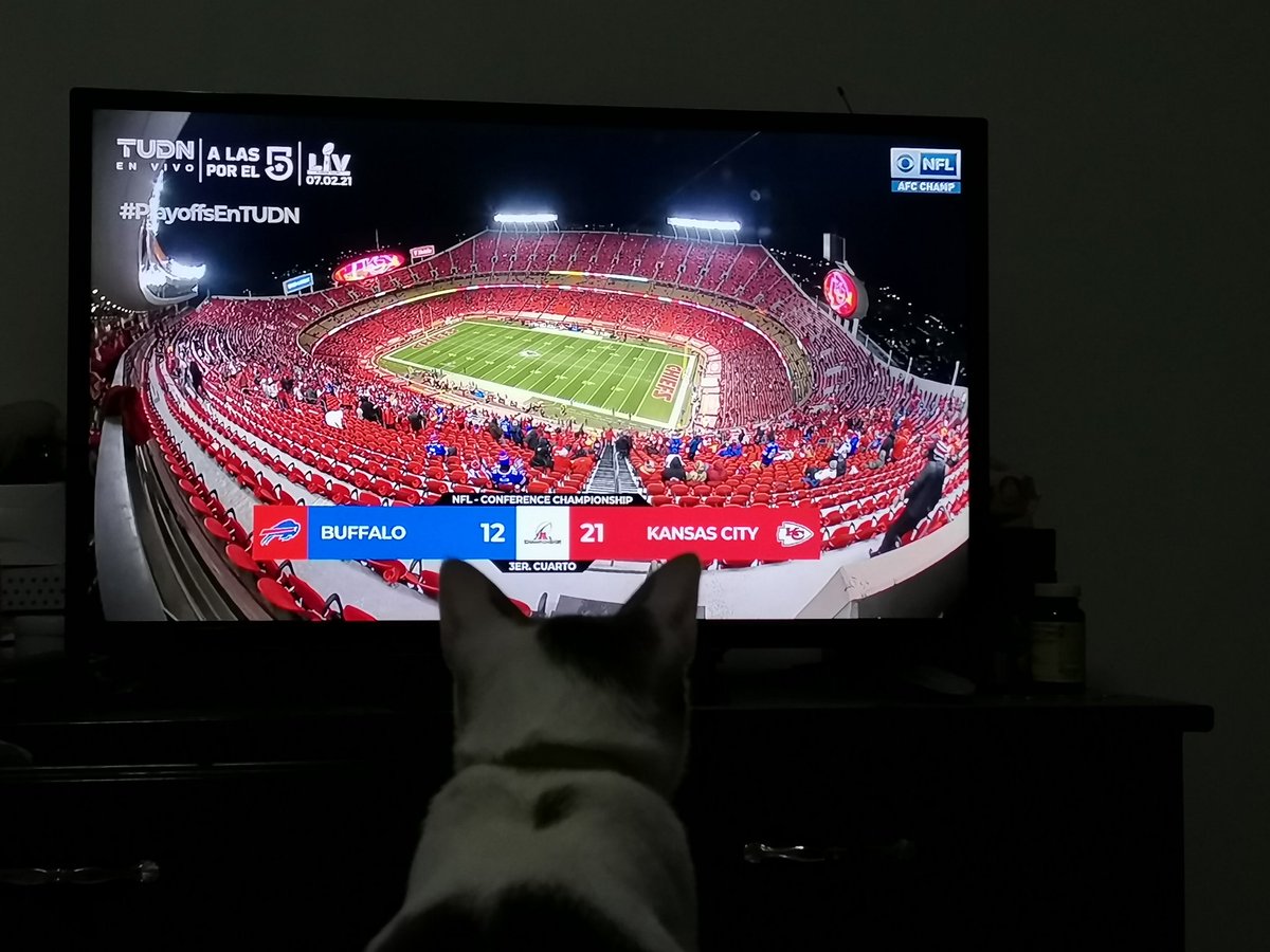 #PlayoffsEnTUDN michi 🐱 KC