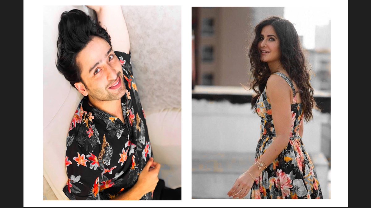 -𝘠𝘰𝘶 𝘨𝘰𝘵𝘵𝘢 𝘯𝘰𝘶𝘳𝘪𝘴𝘩 𝘵𝘰 𝘧𝘭𝘰𝘶𝘳𝘪𝘴𝘩.. #ShaheerSheikh &Katrina Kaif