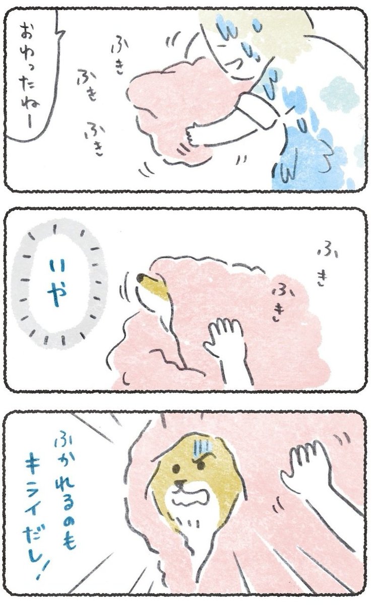 (2/2)
この後、犬用入浴剤「ぬくりん」を試したガチ感想など、まだまだ続きます↓
https://t.co/VNWy5t0CWl
(1/26.10時まで会員さんでなくても読めます)

お風呂嫌いは最初からだけど、だいぶマシになりました☺️
#豆しばこつぶ 