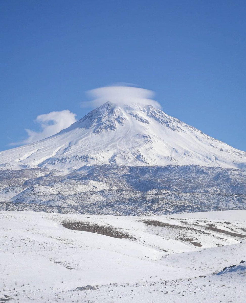 “sıfatları kaldırırsan geriye gerçekler kalır”