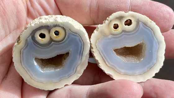 可愛すぎるんですが 断面が完全にクッキーモンスターな鉱物が発見される 著作権侵害鉱物 スライスして荒稼ぎしたい Togetter