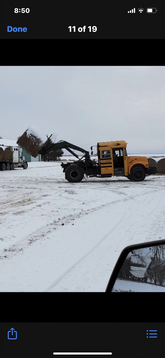 DallasCHenry1's tweet photo. More hay headed for Kansas. 10 degrees and snow yesterday. Not a Lot, but threw the chains on the old  bus and loaded @simply_gary  Have a safe trip. #loaderbus https://t.co/Y73LoL7hCJ