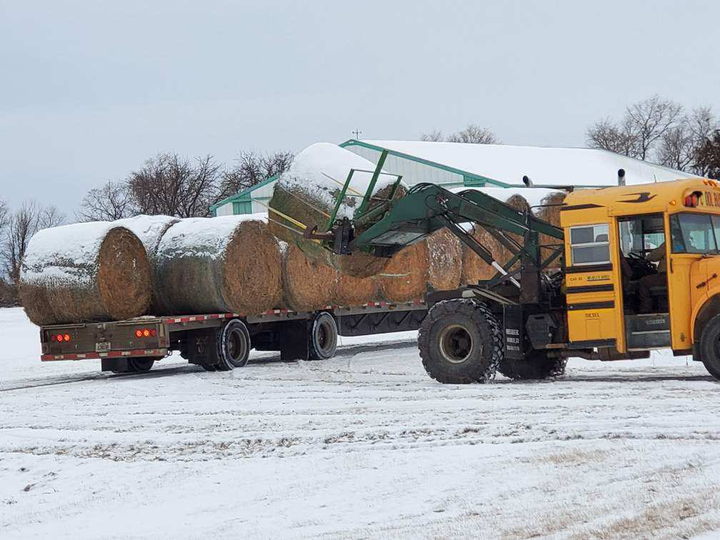 DallasCHenry1's tweet photo. More hay headed for Kansas. 10 degrees and snow yesterday. Not a Lot, but threw the chains on the old  bus and loaded @simply_gary  Have a safe trip. #loaderbus https://t.co/Y73LoL7hCJ