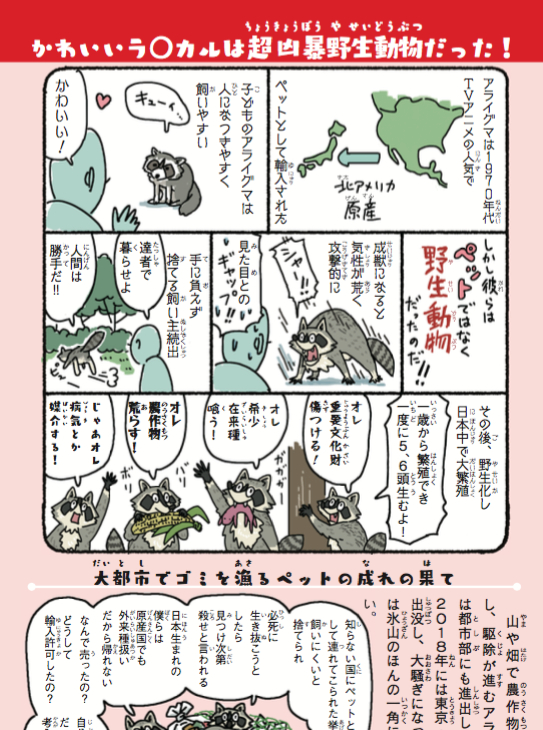 ラスカル人気で連れてこられたペットが捨てられ、今や年間うん億円の農業被害を出す害獣扱い。今後こんな事例が2度と発生しないように、全国の小中学校の学級文庫に #外来いきもの図鑑 https://t.co/DSVVzrYCLe をブッこんで回りたい。

アライグマ捕獲 佐賀で過去最多2300 https://t.co/wr2DjdvDYd 