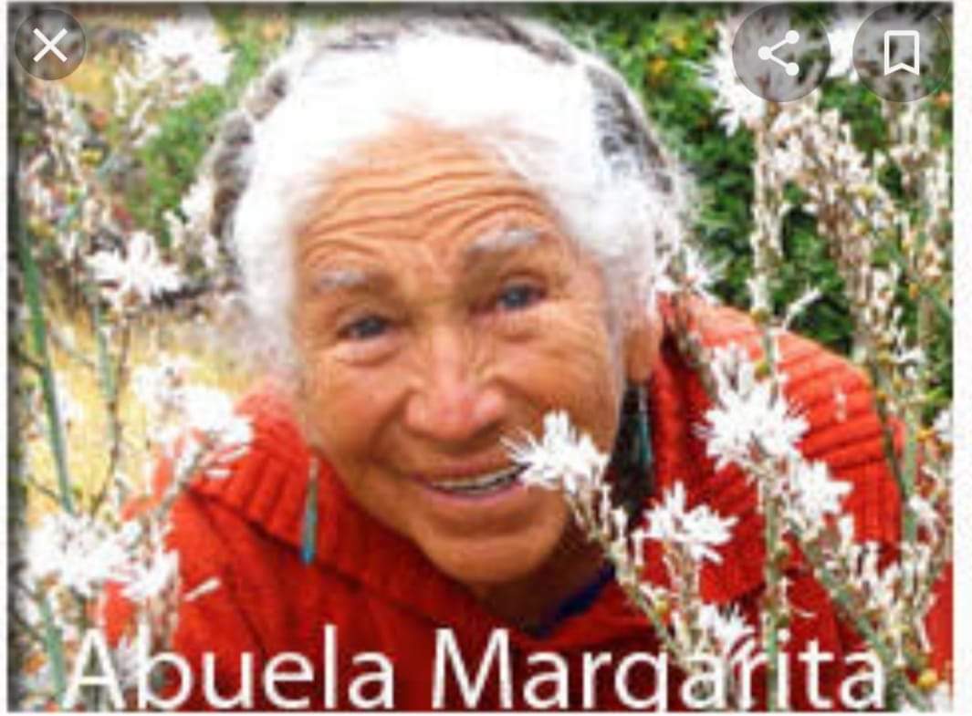 patyalvaradoco1's tweet photo. ¡¡Buen camino!! #AbuelaMargarita #MujerDePoder si quiero algo me lo pido a mí misma.
Cuantas enseñanzas dejaste a la Humanidad, cuantas palabras, líneas y palabras de poder.
Vuela alto #AbuelaMargarita +++++🙏
"La Abuela Margarita, curandera y guardiana de la tradición maya. https://t.co/JTq49r5F4W