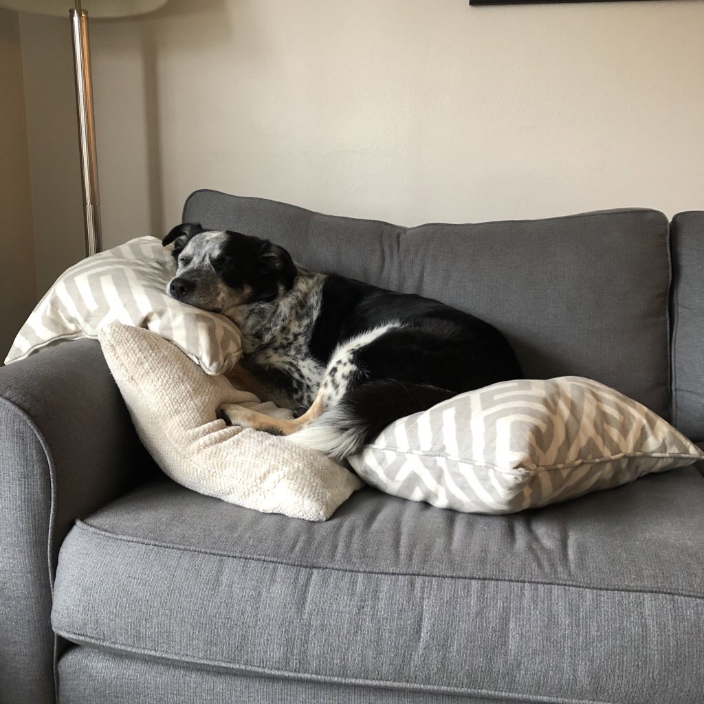 We interupt this thread so that Bruno (and I) can get some shut eye. Have no fear, I'll be back.EMSers I see you...I'll probably add to this thread all week as it feels too big for a single day. Feel free to add your favorite OHCA study below!