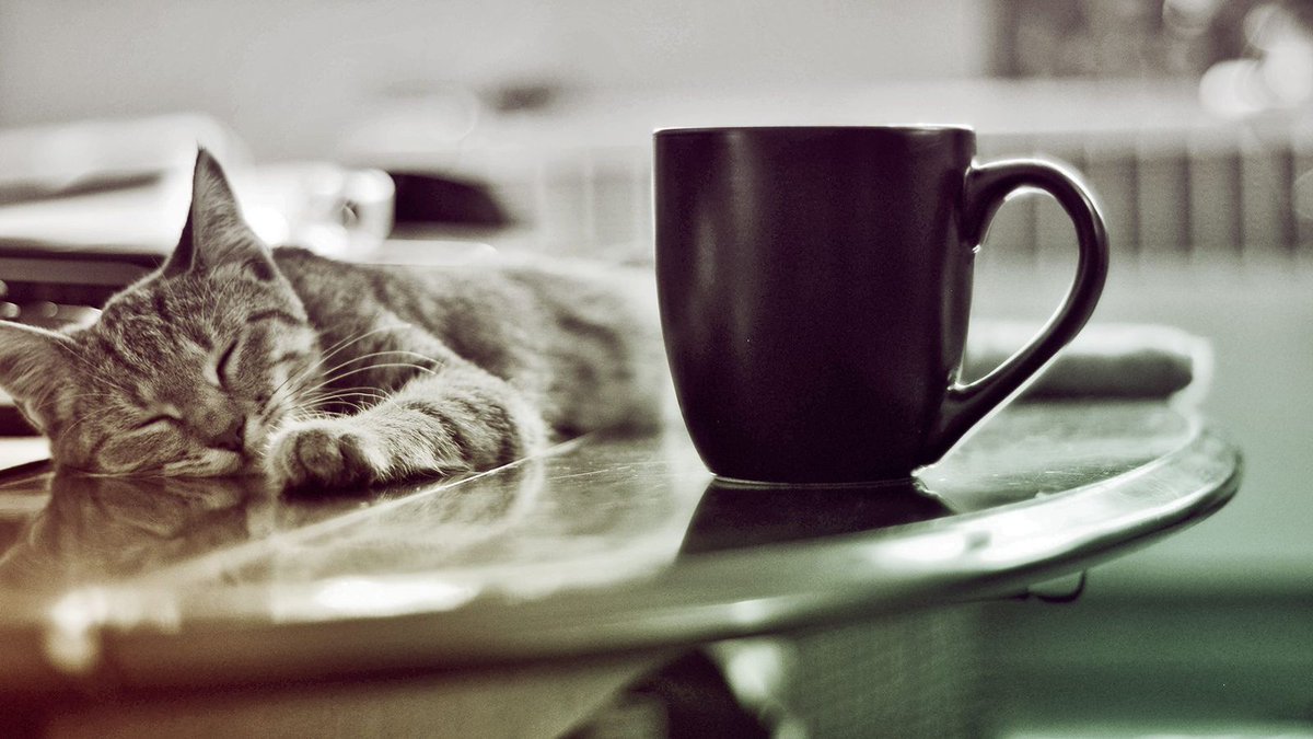 tenvelkej's tweet photo. #Souhrnztwitteru 
#kdo #co u @janrezac 
#covid #ockovani @AndrejBabis a do #rakousko se nedostaneš bez #FFP2 
#fotka #kava #Coffee 22 srdíček pro @nevedkova  
#tech #conference #pristupnost #nevidomi u @radlicek 
#hory #plno #Auto  @PolicieCZ 
#zezivota u @AjTyOdbornik 
.... https://t.co/duzoJkR5Ul