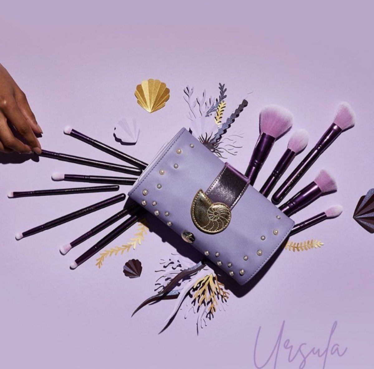 コスメ・ Ursula 12 Piece Brush Set & Roll SC307 Y2nEAm12508804895 ください