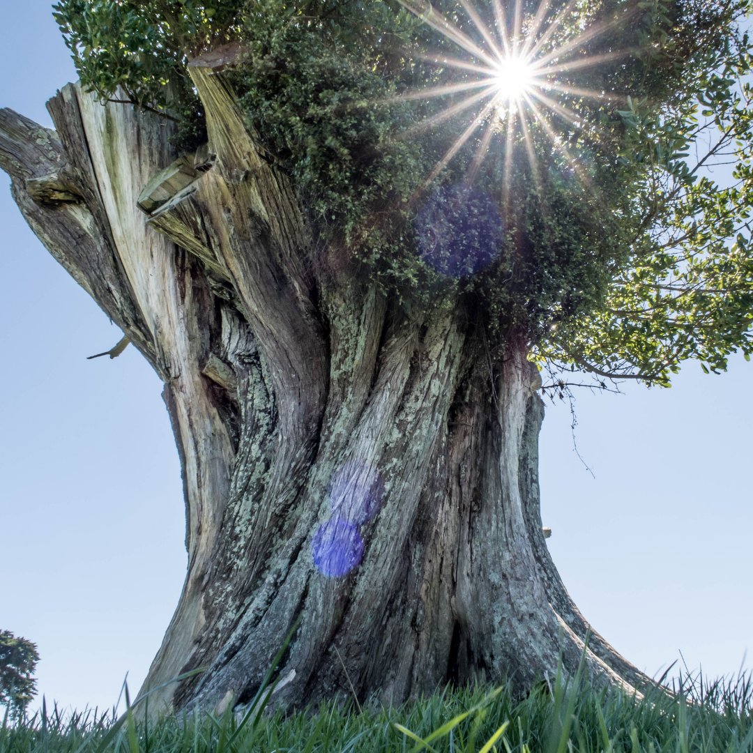 yogapantstore's tweet photo. Opening our heart in the face of loss helps us release the all-healing energy of the heart through our body-mind. It gives us back our power to live our life on our own terms. 
Healing, like growing, takes time. https://t.co/ldrr5UPr4i