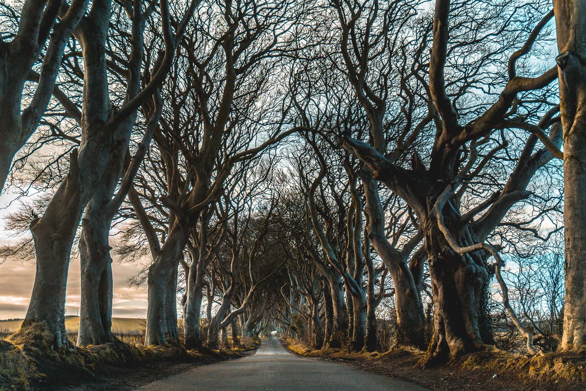 Dark markets ireland