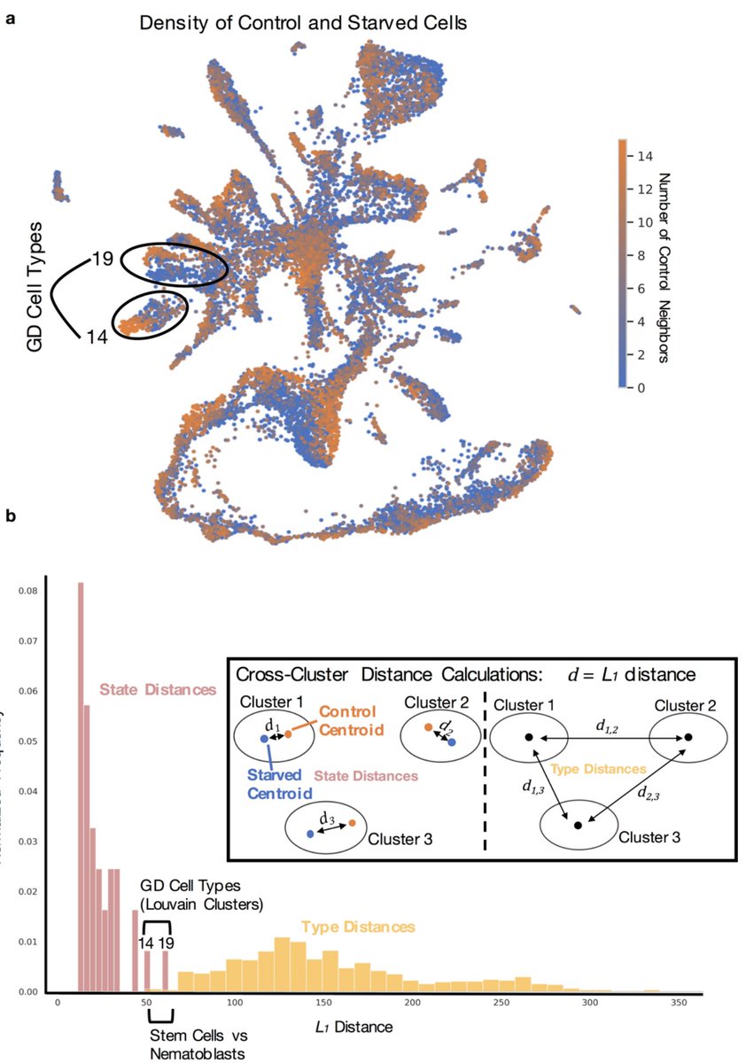 The starvation experiment revealed an interesting story of shifts in cell *state* as opposed to cell *type*. We believe we are sensitive to such shifts because of the greatly reduced batch effect in our experiments as a result of multiplexing our samples with ClickTags. 8/