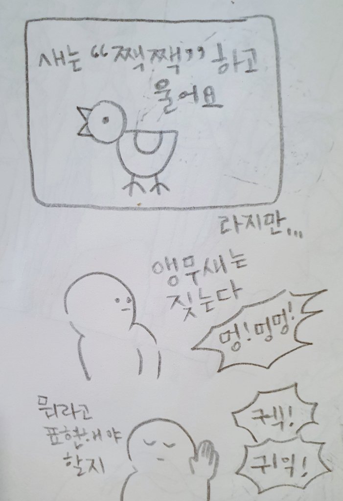 앵무새를 키운지 7년이 되었는데도 종종 놀라요? 