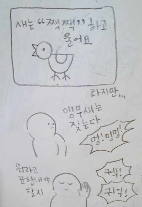 앵무새를 키운지 7년이 되었는데도 종종 놀라요? 