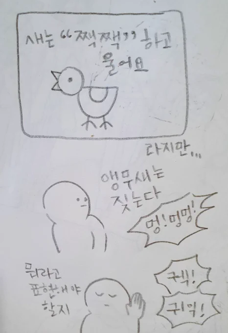 앵무새를 키운지 7년이 되었는데도 종종 놀라요? 