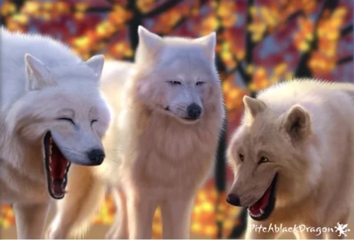 WHAT's SO FUNNY - THE JOKER'S FRIENDITS A THREAD,PLS RETWEET