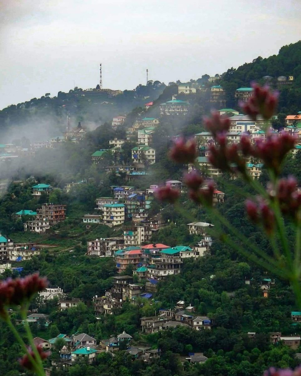 iamNareshxandy's tweet photo. Ishq Aksar Shaqs Se Hi Nhi Shehar Se Bhi Hoti H I am in Love with #हिमाचल 🏞️

मनाली, हिमाचल प्रदेश 😍😍

#देवभूमि #Devbhoomi #Himachal 🙏🙏 #himachalstatehoodday #himachalday #Kangra 💖 https://t.co/ewcacEV33s