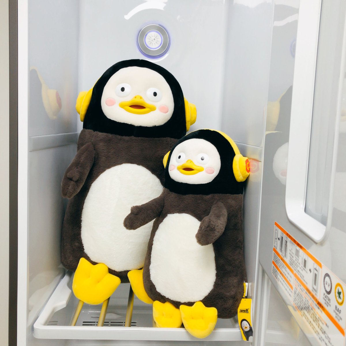pengkerbell's tweet photo. 목욕했뜹니다!⤴🐧🛁 
스타일러 첫 사용은 우리집 대수, 소수!💕
#펭수 #펭수���형 #펭수인형90cm #펭수인형60cm #스타일러 #lg스타일러 https://t.co/3fHb8mofL4