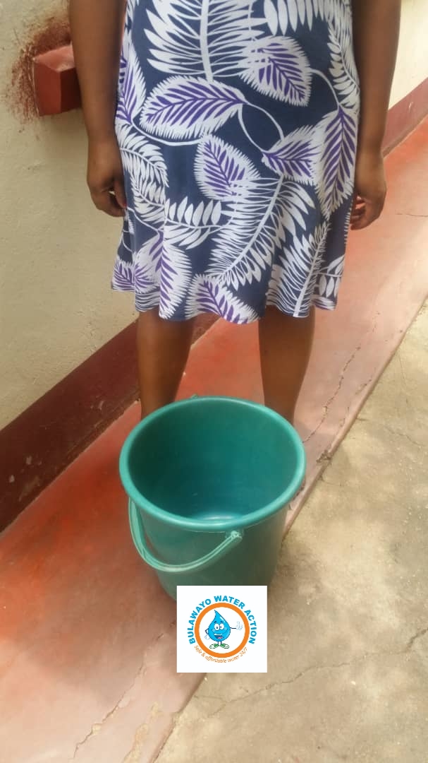 Bulawayo Water Action tweet media