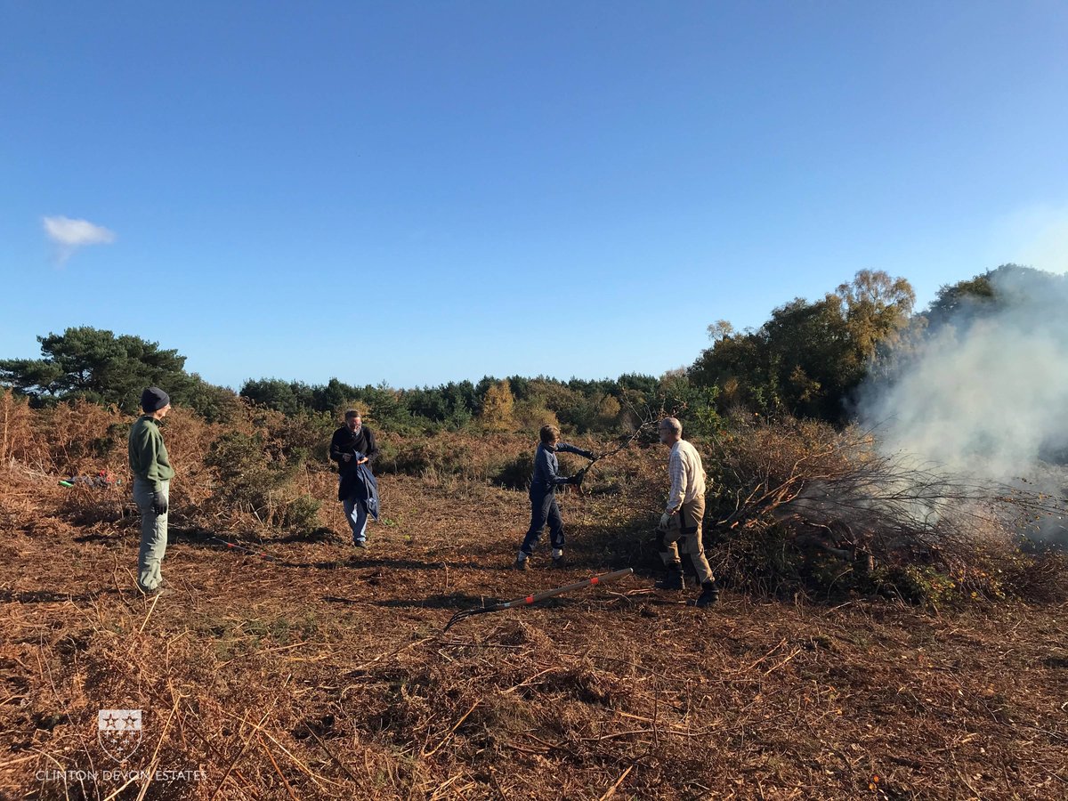 ClintonDevon's tweet photo. Despite 2020’s global pandemic and two lockdowns, our Friends of the Commons volunteers safely delivered more than 1,000 hours of practical conservation work. Here are just a few of them in action - thank you to everyone for your time, enthusiasm and dedication! https://t.co/BLVYevkZza