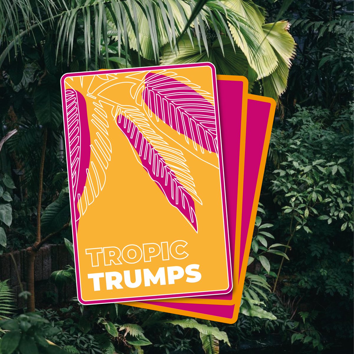 Tropic Trumps are back! 🌴While we can’t play sports physically, we’ll be running our second round of our virtual 7s competition. Keep your eyes peeled for the sign-up link which goes live tonight 👀 #staytropical

🍉
🍍

#yorkshire #leeds #rugby #rugbyfamily #rugbylove