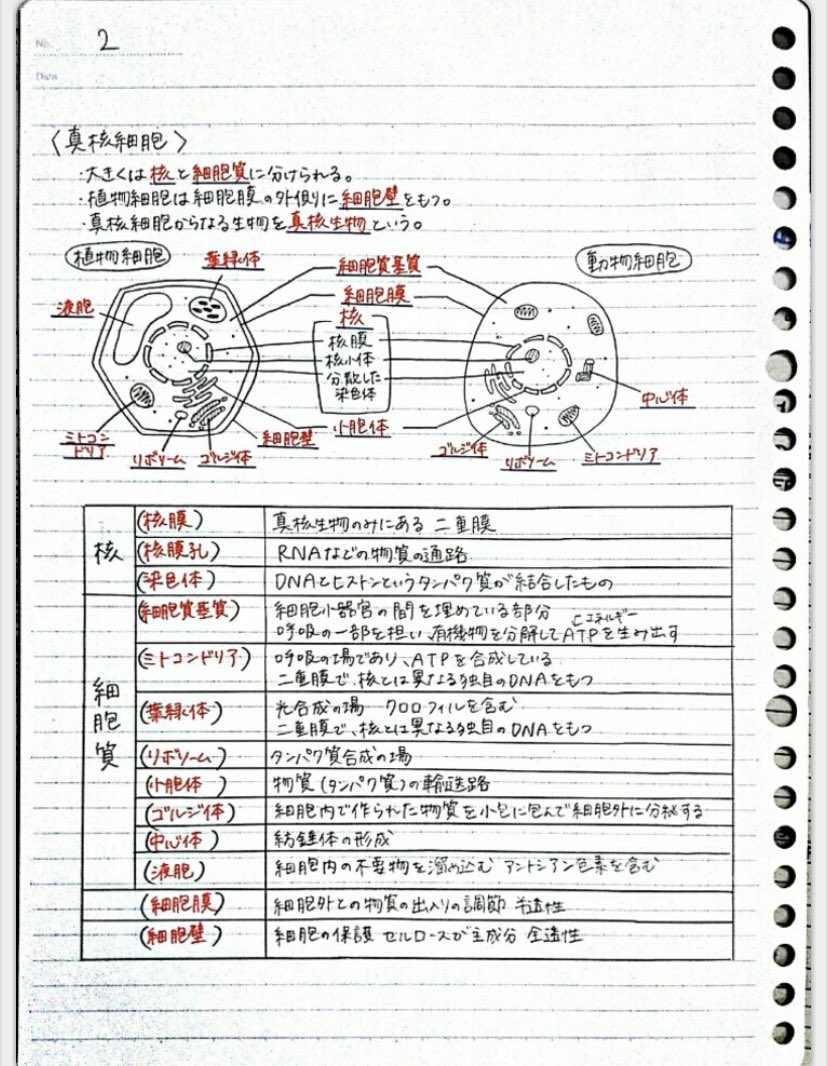 Clear 勉強ノートまとめアプリ 従兄弟が指定校頂いてた大学合格したそうです おめでとう 今日紹介するのは 暗記フェス 生物基礎 要点総まとめ 全単元網羅 Helloverさんのノート 綺麗なノート T Co Bfi0u4sted 生物基礎
