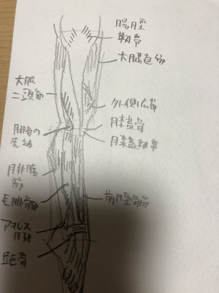 ジャックハム 