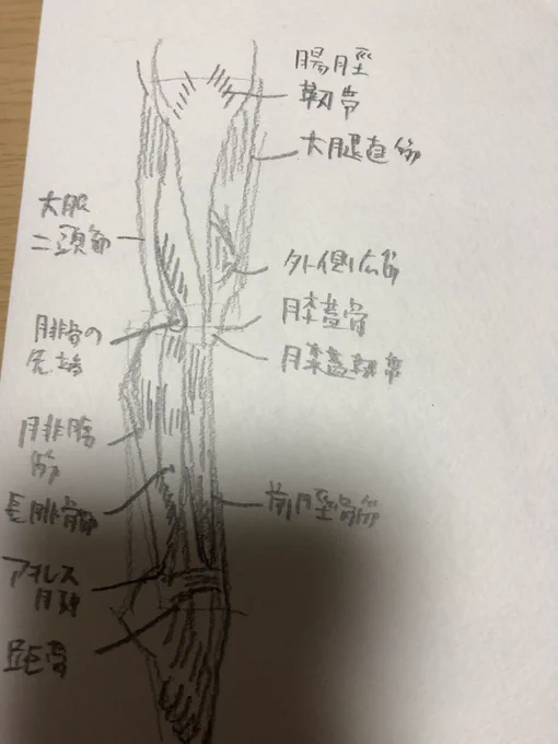 ジャックハム 