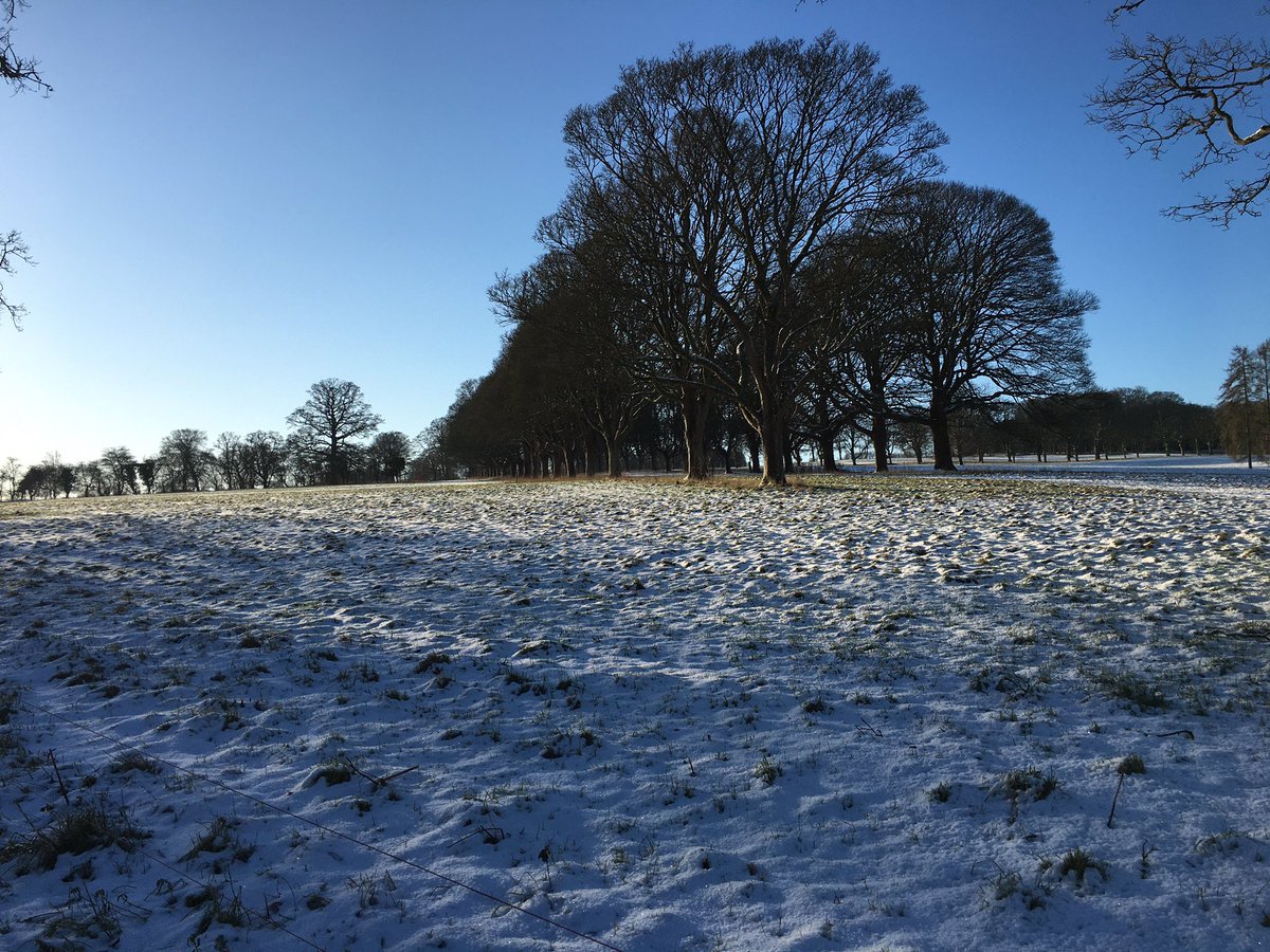 Cornbury House Farm tweet media