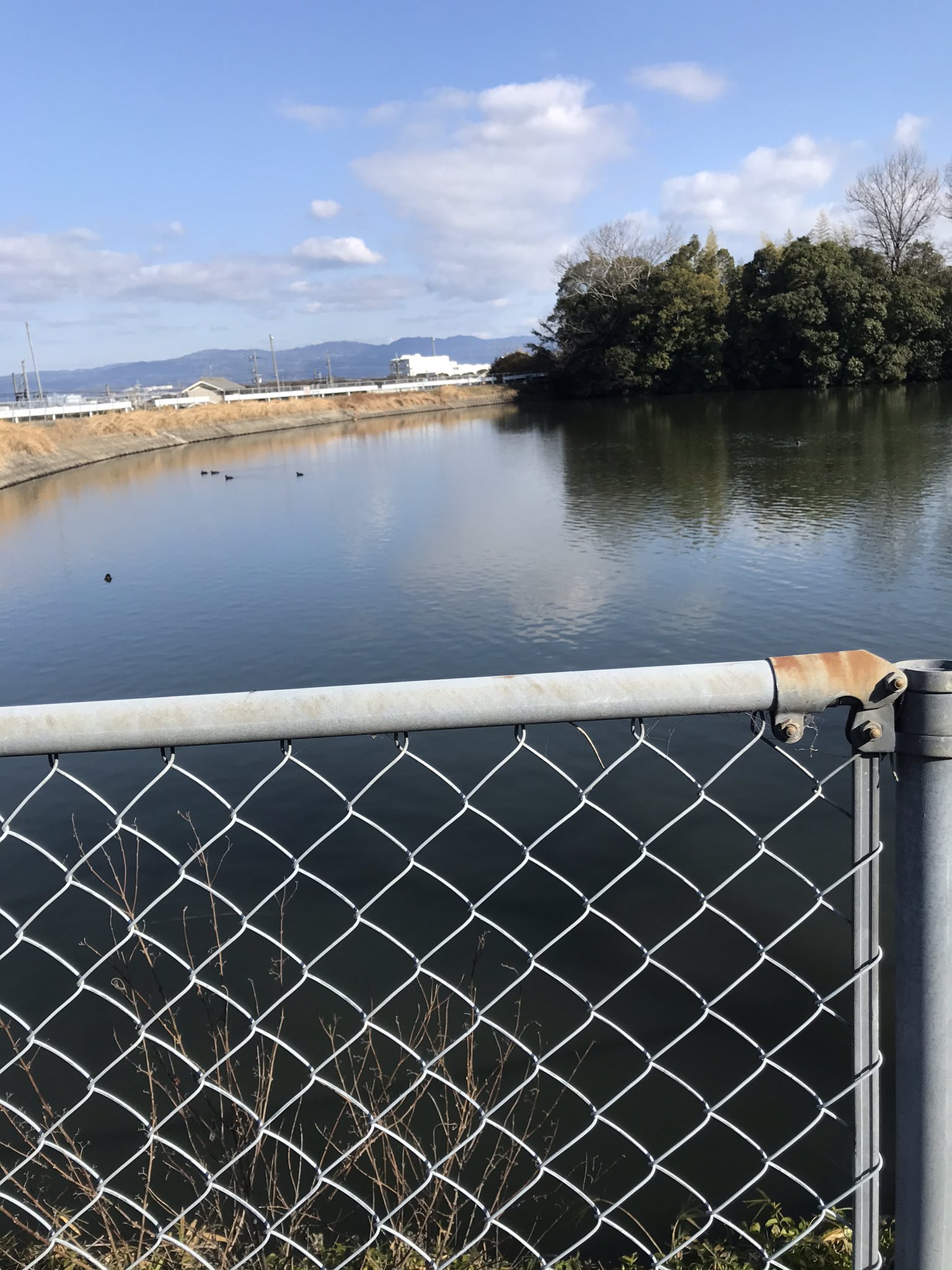 奈良の野池を守りたい 奈良県広陵町にある二つの池 大きい方は数年前に水が抜かれている 小さい方はブラックバスやブルーギルがいる ゴミも多い 奈良バス釣り 奈良県バスフィッシング 奈良の釣り場 T Co Gaw6gonkrt Twitter 奈良の野池を守りたい 奈良県広陵町にある二つの池 大きい方は数年前に水が抜かれている 小さい方はブラックバスやブルーギルがいる ゴミも多い 奈良バス釣り 奈良県バスフィッシング 奈良の釣り場 T Co Gaw6gonkrt Twitter