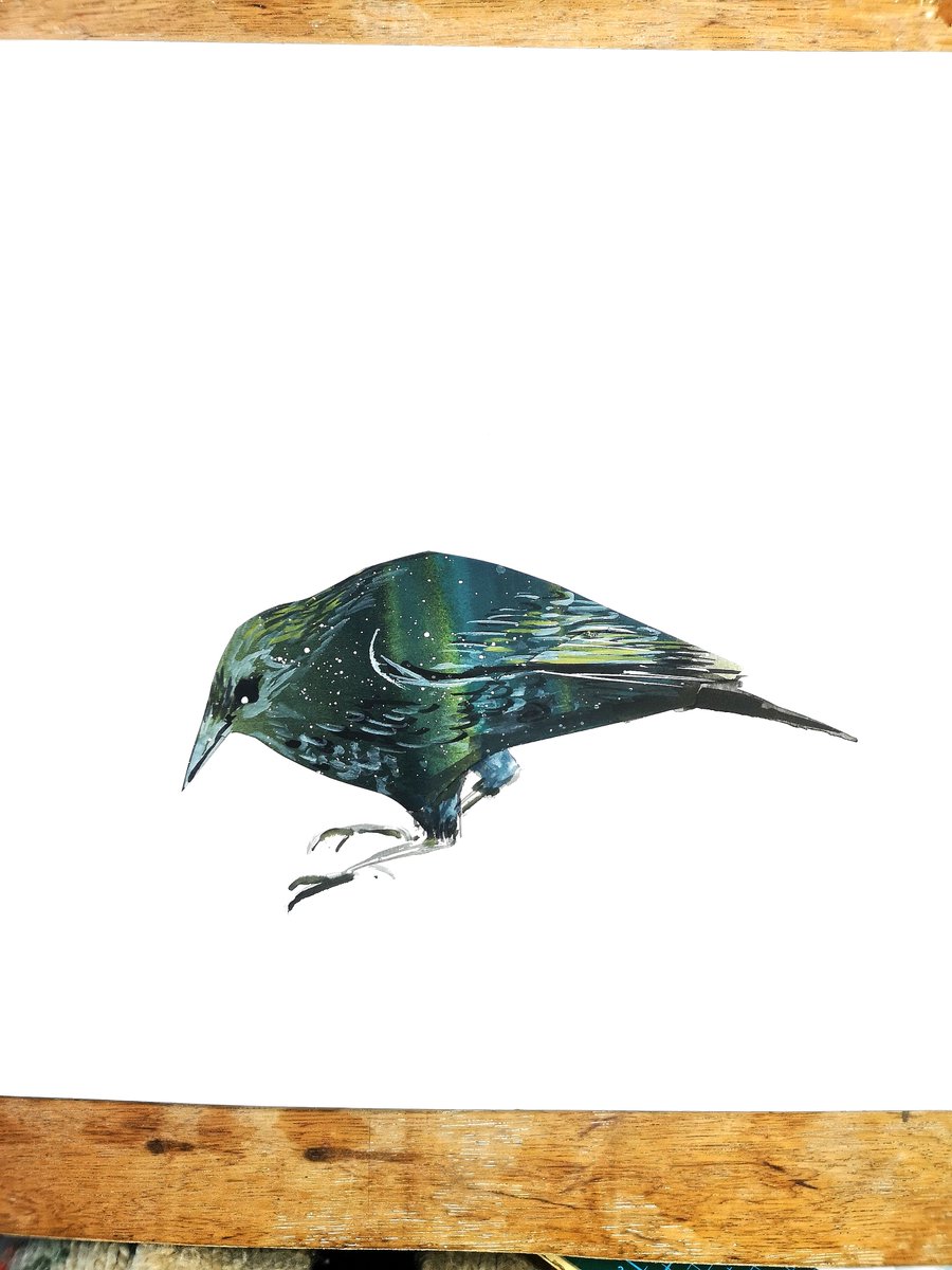 Emma Levey tweet media