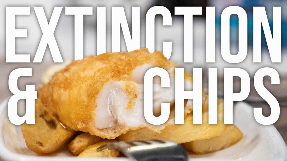 ScubaverseMedia's tweet image. Go Fish Free this February! There are no longer plenty more fish in the sea! Fish Free February challenges you to protect our oceans by removing seafood from your diet for 28 days.
#fishing #overfishing #fishfree #february #ocean #conservation #fish #free
scubaverse.com/go-fish-free-t…