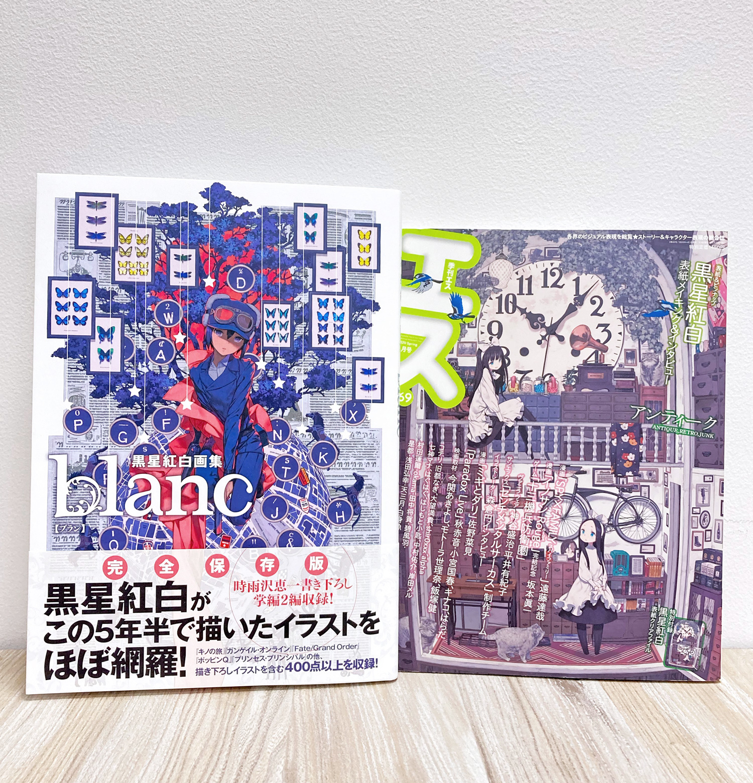絶対お得です 黒星紅白 画集 季刊エス 店頭受取商品 本 音楽 ゲーム 漫画 Roe Solca Ec